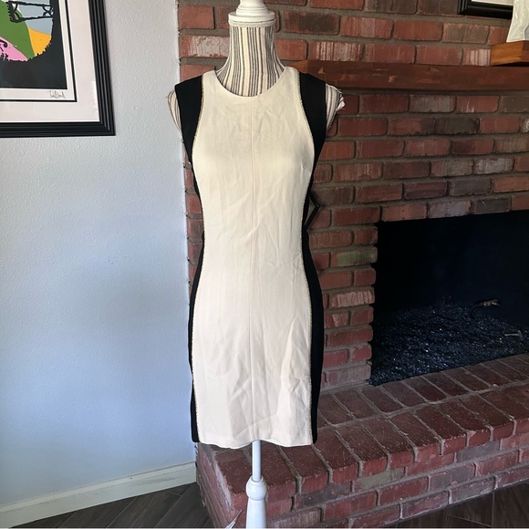 Rag & Bone Dupont Sleeveless Sheath Dress in Ivory/Black Sz 4 - Picture 2 of 10